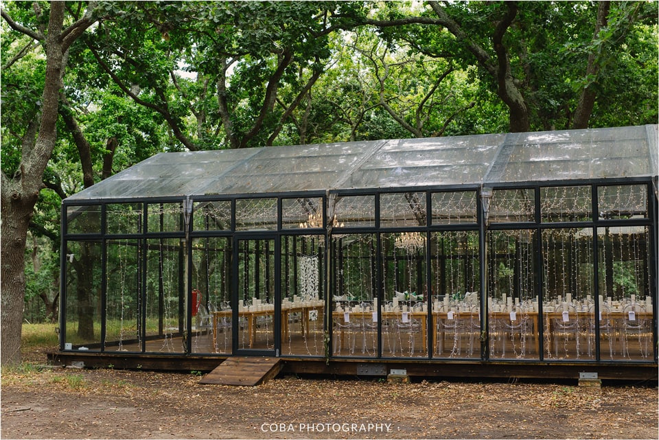 Die Woud Wedding _ Coba Photography