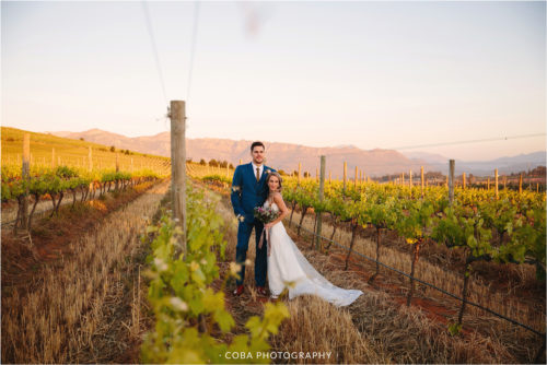 top winelands wedding venue couple in the vineyads at diamant estate