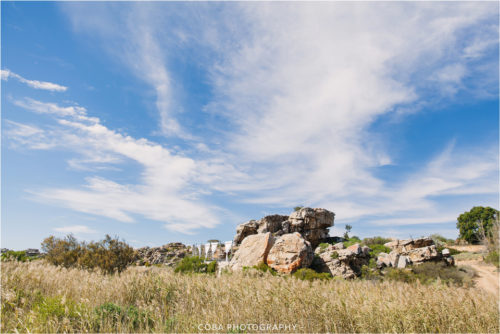 bosduifklip in daylight