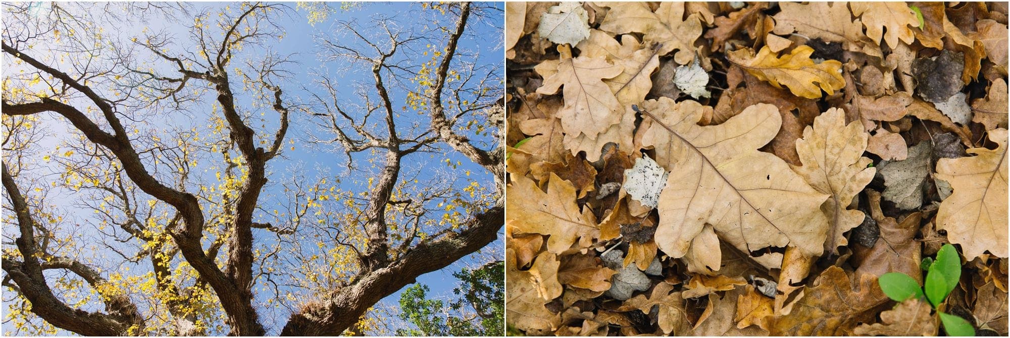 the-barn-de-uijlenes-coba-photography (3).jpg the-barn-de-uijlenes-coba-photography (3).jpg