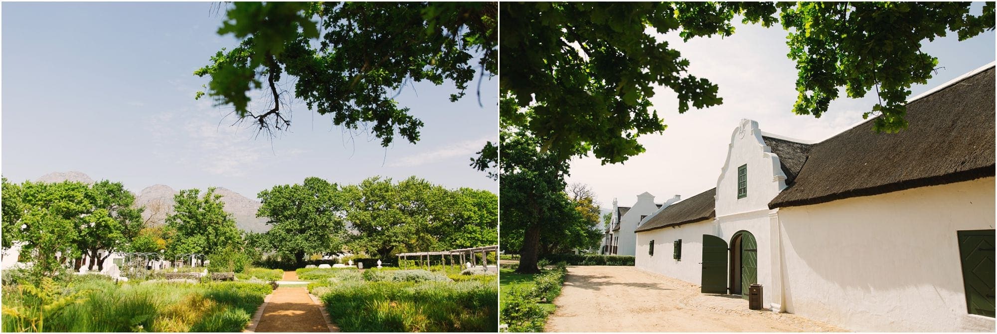 vrede-en-lust-wedding-coba-photography-wedding-photographer-cape-town_0622.jpg vrede en lust wedding - coba photography