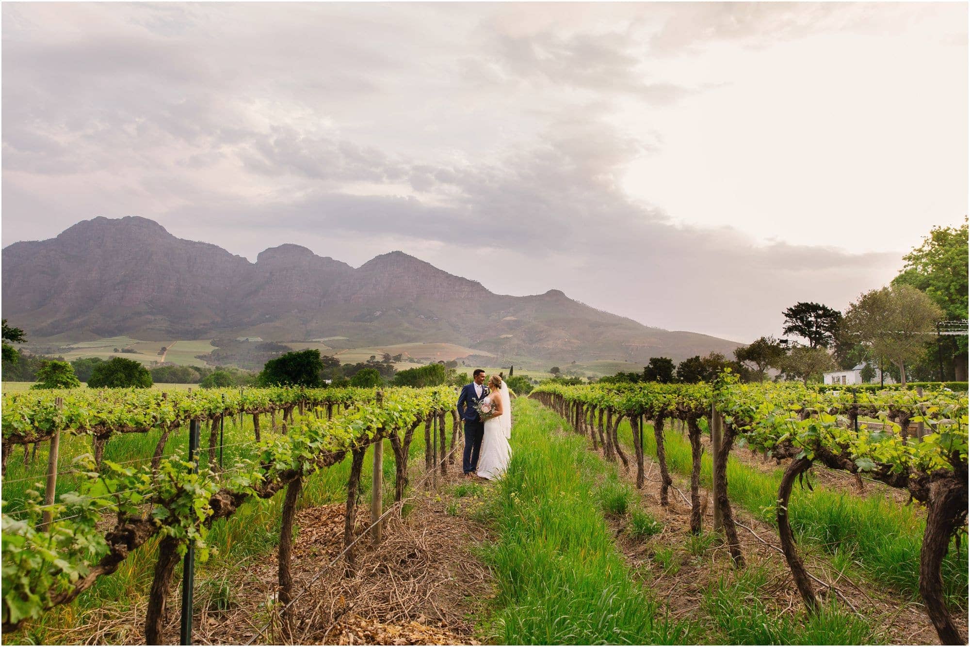 vrede-en-lust-wedding-coba-photography-wedding-photographer-cape-town_0690.jpg vrede en lust wedding - coba photography