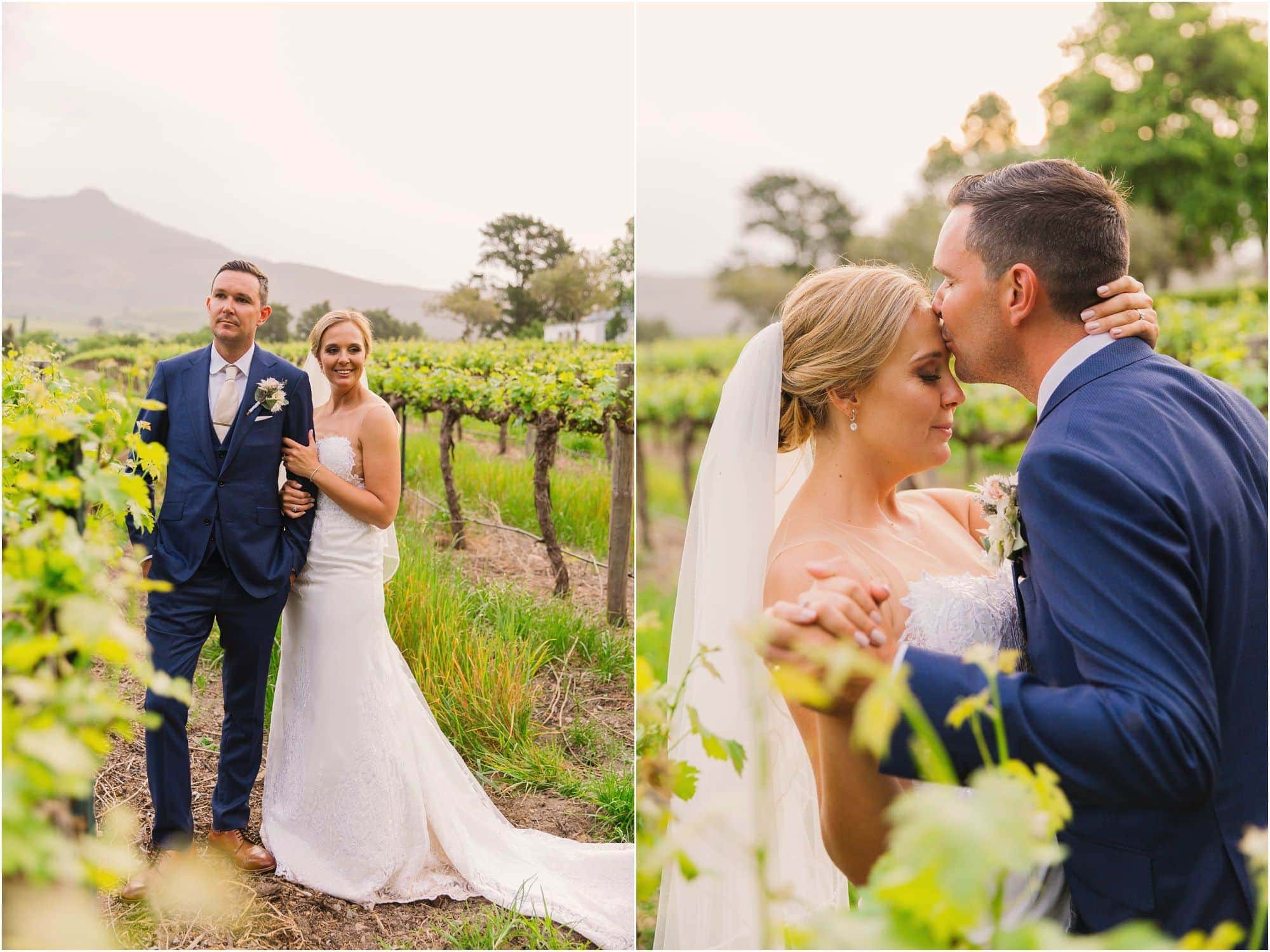 vrede-en-lust-wedding-coba-photography-wedding-photographer-cape-town_0691.jpg vrede en lust wedding - coba photography
