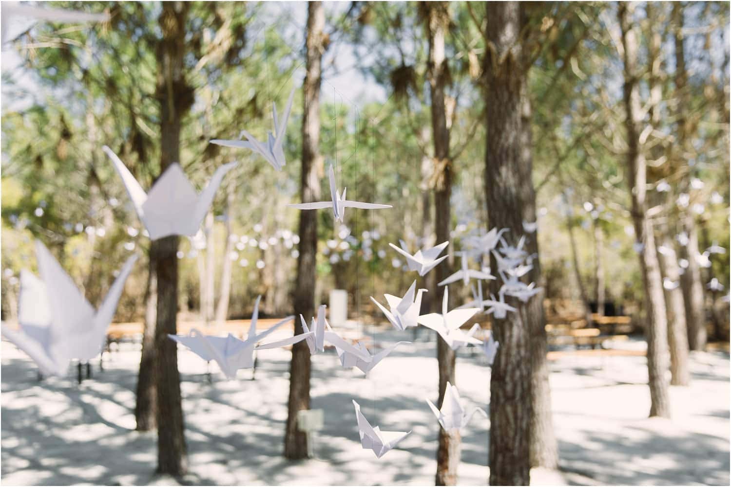 the-one-heaven-and-earth-wedding-photographer-hermanus-coba_1118.jpg the-one-heaven-and-earth-wedding-photographer-hermanus-coba_1118.jpg