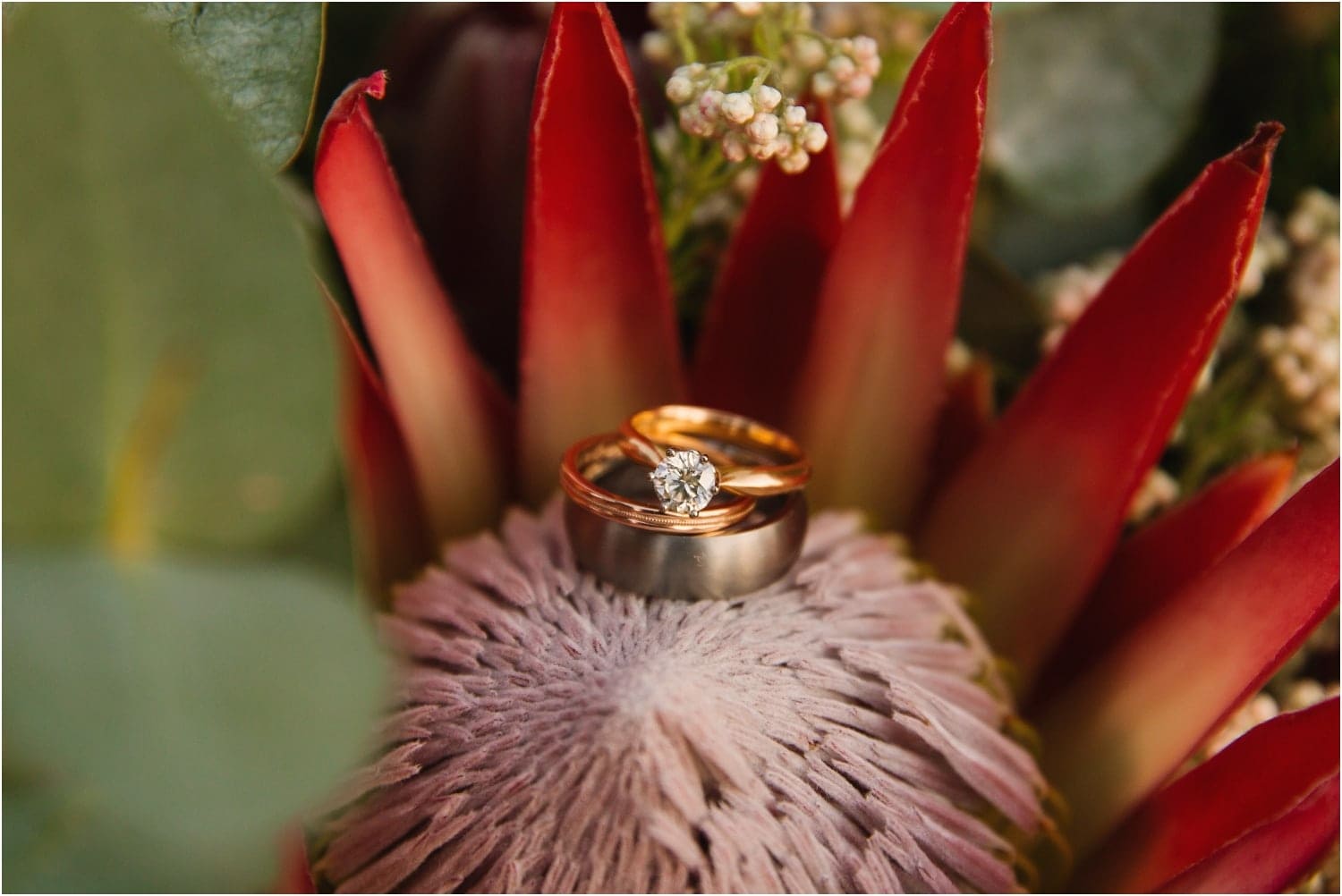 the-one-heaven-and-earth-wedding-photographer-hermanus-coba_1170.jpg the-one-heaven-and-earth-wedding-photographer-hermanus-coba_1170.jpg