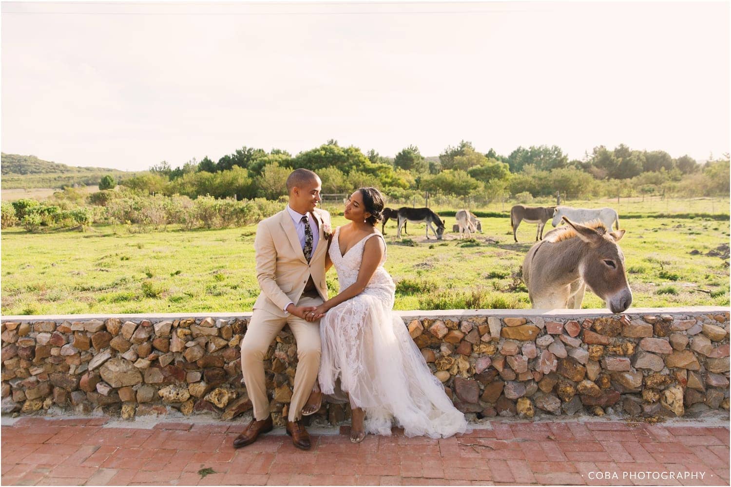 couple with donkeys at de uijlenes