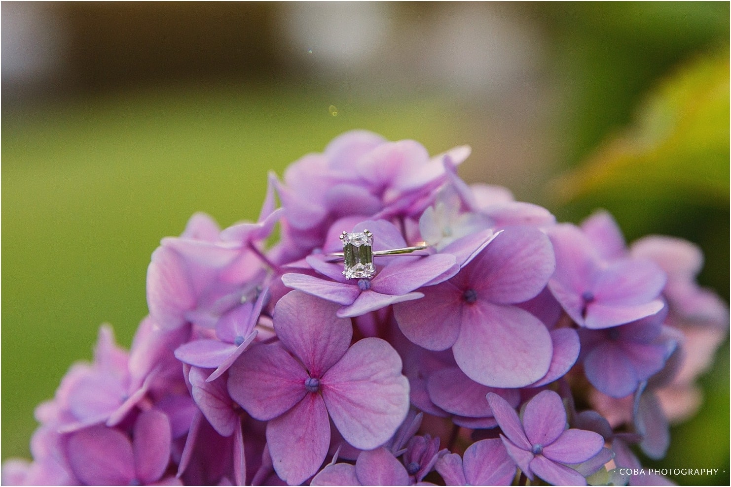 engagement ring on flowers at alphen boutique hotel