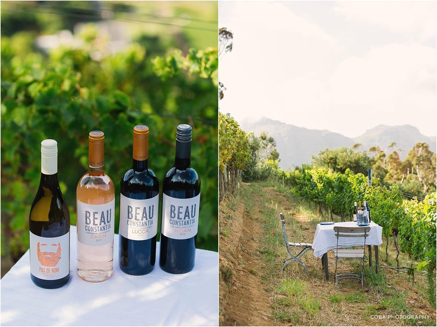 beau constantia wines