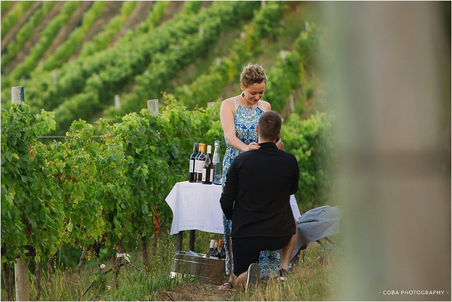 proposal in the vineyards at beau constantia