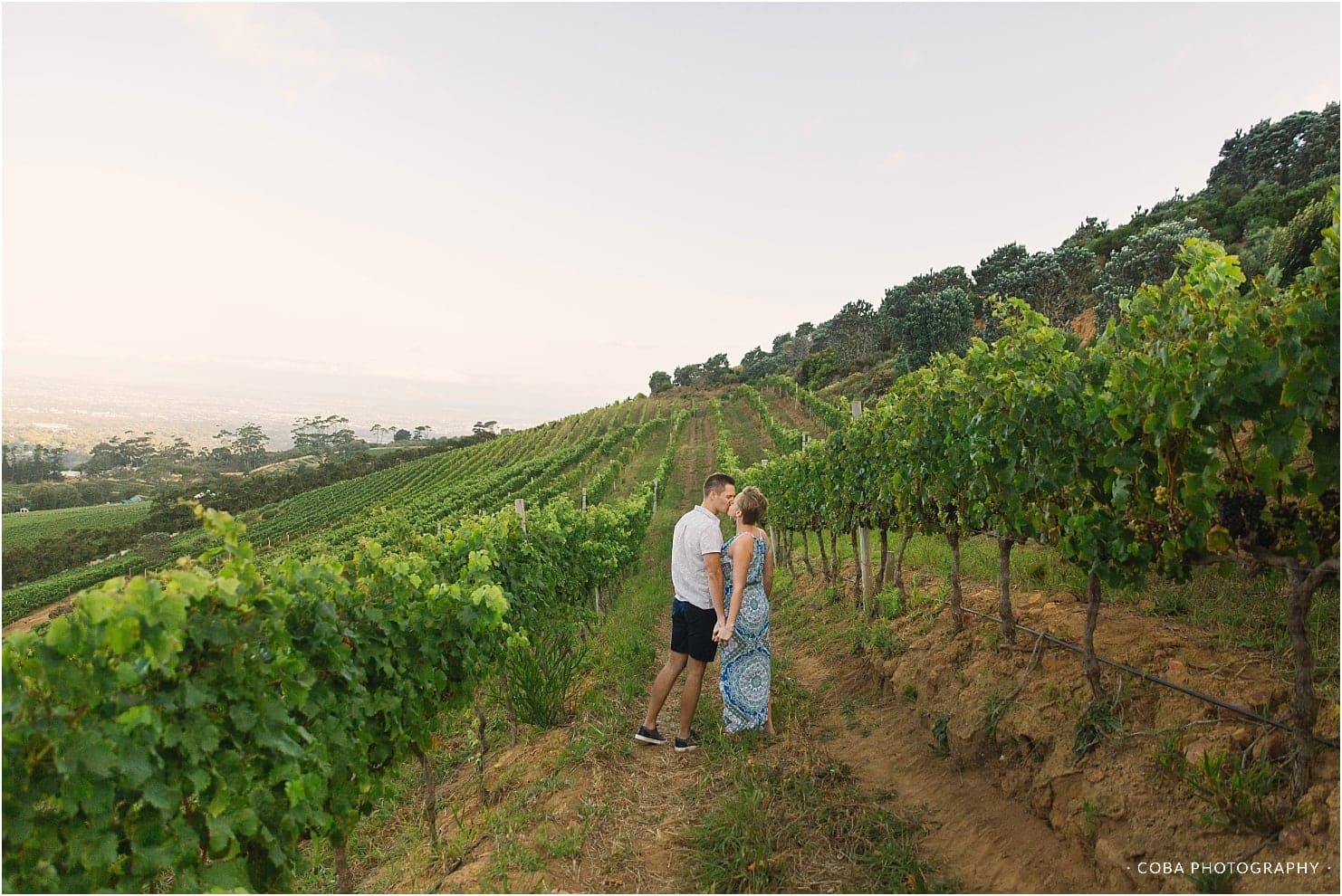 proposal in the vineyards at beau constantia