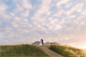 marlenique estate wedding