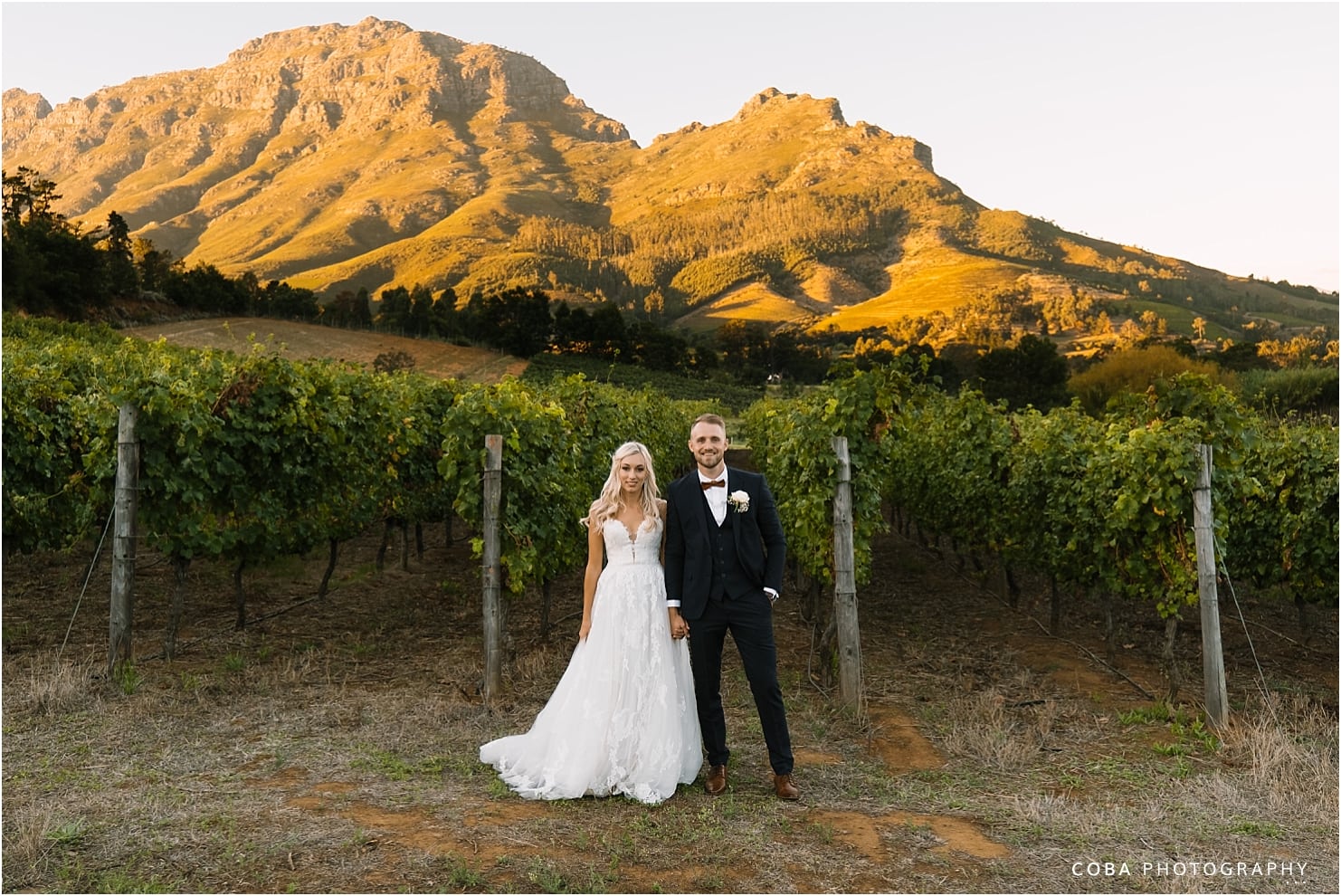 alluvia wedding stellenbosch
