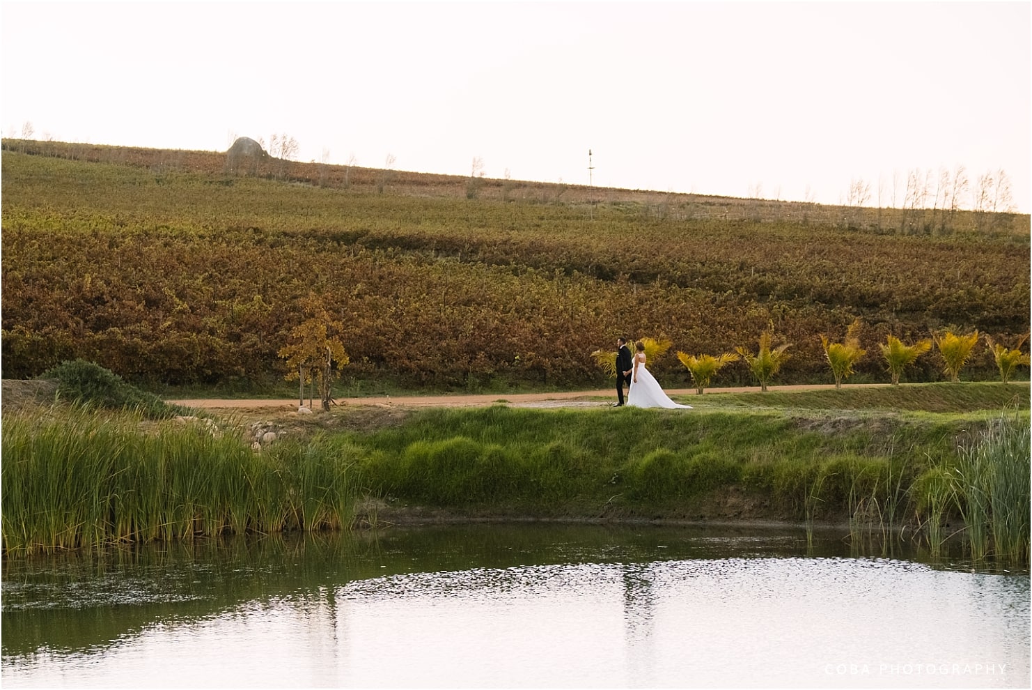 cuan&natalie_eikenhof estate wedding_0757.jpg cuan&natalie_eikenhof estate wedding_0757.jpg