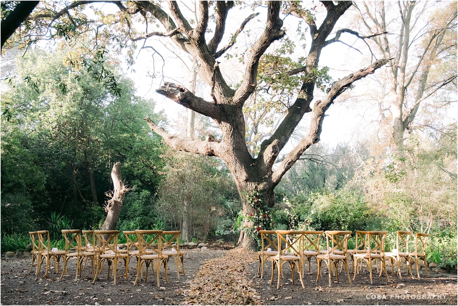 montpellier wedding tulbagh - ceremony under trees
