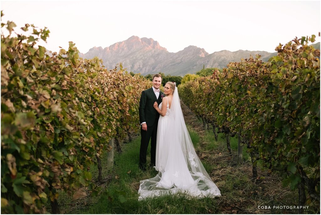 wedding at zorgvliet- bride and groom in vineyard