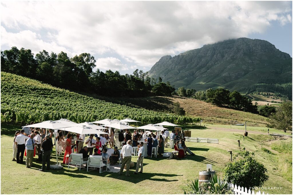 alluvia wedding venue - guests outside on lawn for canapes